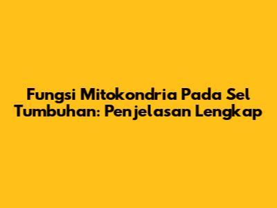 Fungsi Mitokondria Pada Sel Tumbuhan: Penjelasan Lengkap