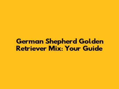 German Shepherd Golden Retriever Mix: Your Guide