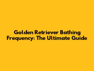 Golden Retriever Bathing Frequency: The Ultimate Guide