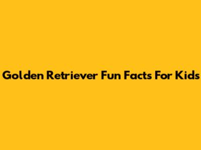 Golden Retriever Fun Facts For Kids