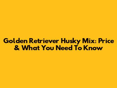 Golden Retriever Husky Mix: Price & What You Need To Know