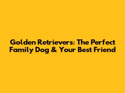 Golden Retrievers: The Perfect Family Dog & Your Best Friend