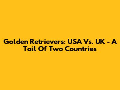 Golden Retrievers: USA Vs. UK - A Tail Of Two Countries