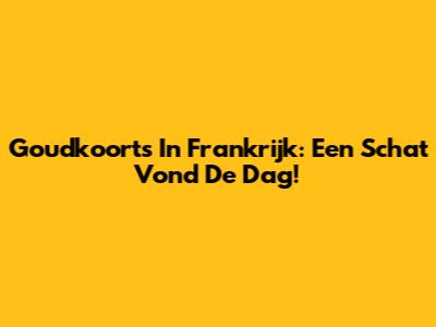 Goudkoorts In Frankrijk: Een Schat Vond De Dag!