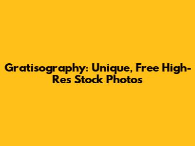 Gratisography: Unique, Free High-Res Stock Photos