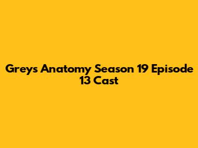 Grey's Anatomy Season 19 Episode 13 Cast