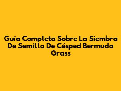 Guía Completa Sobre La Siembra De Semilla De Césped Bermuda Grass