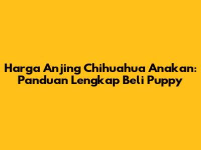 Harga Anjing Chihuahua Anakan: Panduan Lengkap Beli Puppy