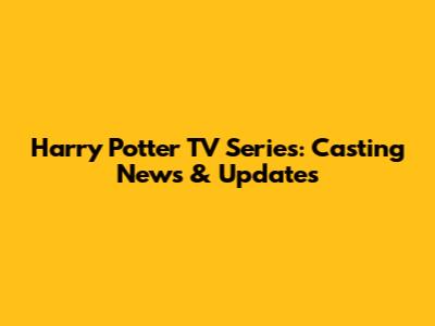 Harry Potter TV Series: Casting News & Updates