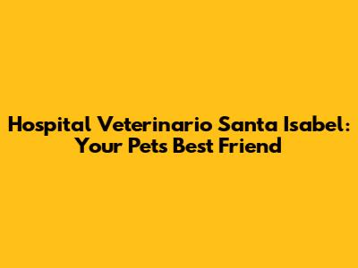 Hospital Veterinario Santa Isabel: Your Pet's Best Friend