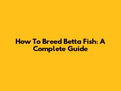How To Breed Betta Fish: A Complete Guide