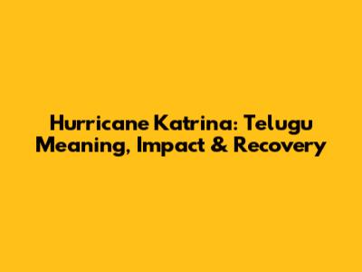 Hurricane Katrina: Telugu Meaning, Impact & Recovery