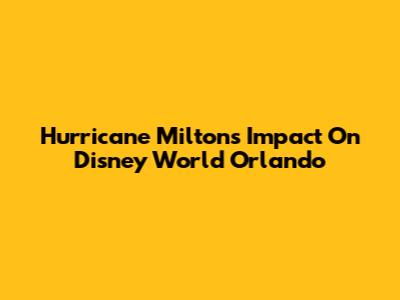 Hurricane Milton's Impact On Disney World Orlando