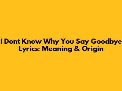 I Don't Know Why You Say Goodbye Lyrics: Meaning & Origin