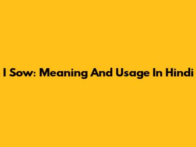 I Sow: Meaning And Usage In Hindi