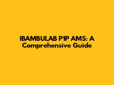 IBAMBULAB P1P AMS: A Comprehensive Guide
