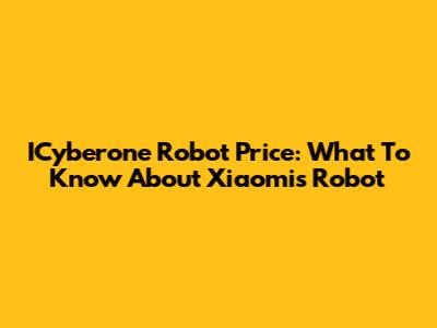 ICyberone Robot Price: What To Know About Xiaomi's Robot