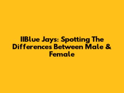 IIBlue Jays: Spotting The Differences Between Male & Female