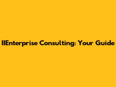 IIEnterprise Consulting: Your Guide