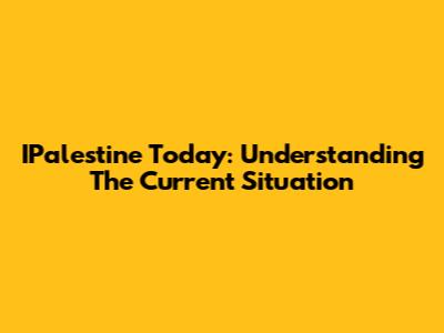 IPalestine Today: Understanding The Current Situation