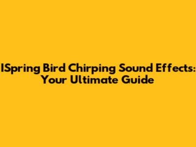 ISpring Bird Chirping Sound Effects: Your Ultimate Guide