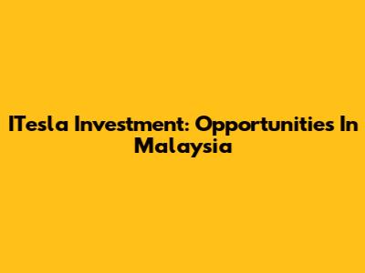ITesla Investment: Opportunities In Malaysia