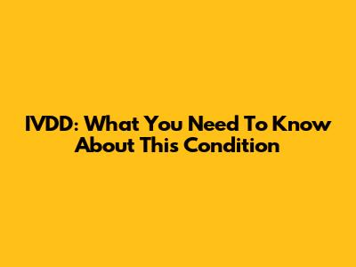 IVDD: What You Need To Know About This Condition
