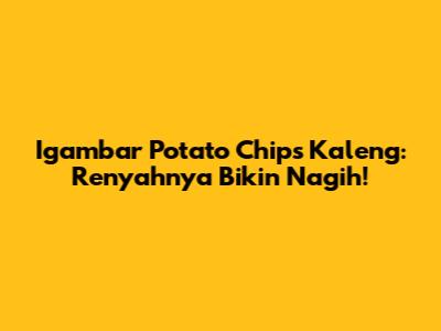 Igambar Potato Chips Kaleng: Renyahnya Bikin Nagih!