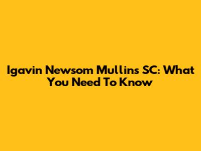 Igavin Newsom Mullins SC: What You Need To Know