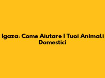 Igaza: Come Aiutare I Tuoi Animali Domestici