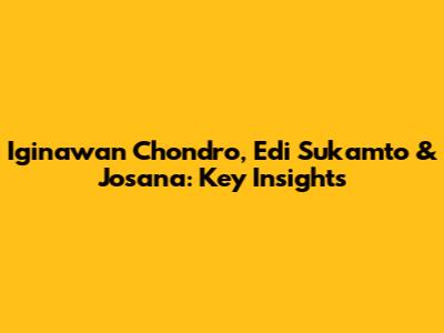 Iginawan Chondro, Edi Sukamto & Josana: Key Insights