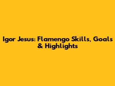 Igor Jesus: Flamengo Skills, Goals & Highlights