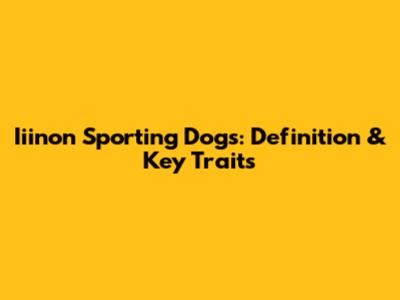 Iiinon Sporting Dogs: Definition & Key Traits