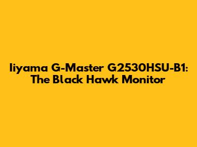 Iiyama G-Master G2530HSU-B1: The Black Hawk Monitor