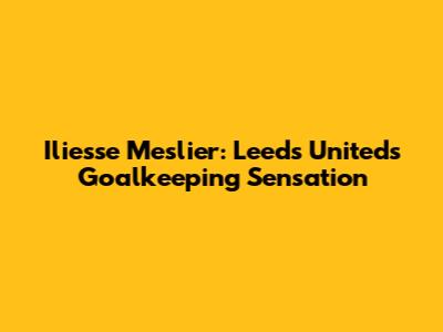 Iliesse Meslier: Leeds United's Goalkeeping Sensation