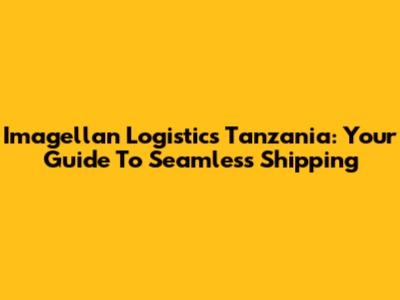 Imagellan Logistics Tanzania: Your Guide To Seamless Shipping