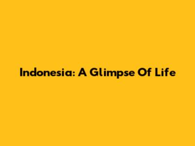 Indonesia: A Glimpse Of Life