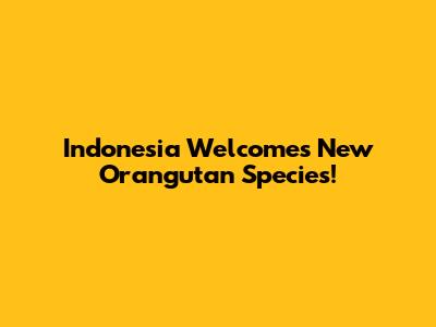 Indonesia Welcomes New Orangutan Species!