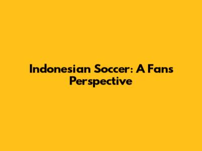 Indonesian Soccer: A Fan's Perspective