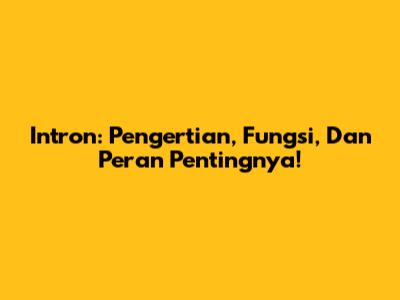 Intron: Pengertian, Fungsi, Dan Peran Pentingnya!