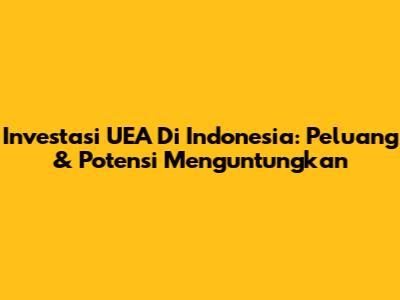 Investasi UEA Di Indonesia: Peluang & Potensi Menguntungkan