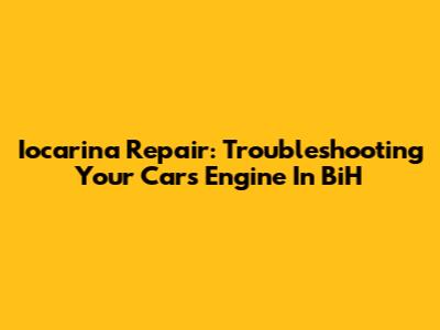 Iocarina Repair: Troubleshooting Your Car's Engine In BiH