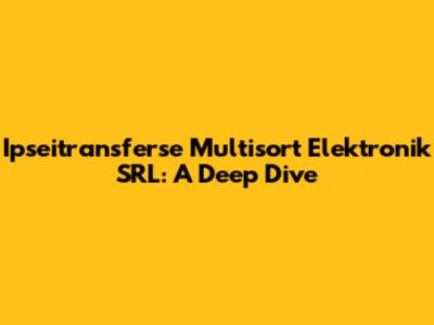 Ipseitransferse Multisort Elektronik SRL: A Deep Dive