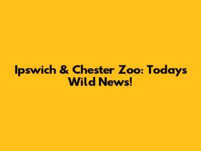 Ipswich & Chester Zoo: Today's Wild News!