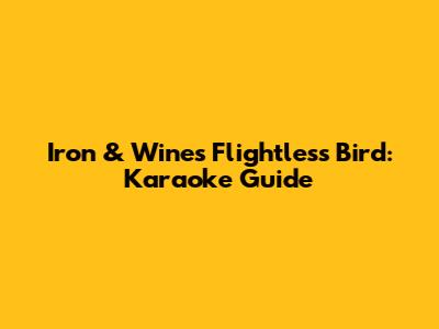 Iron & Wine's 'Flightless Bird': Karaoke Guide