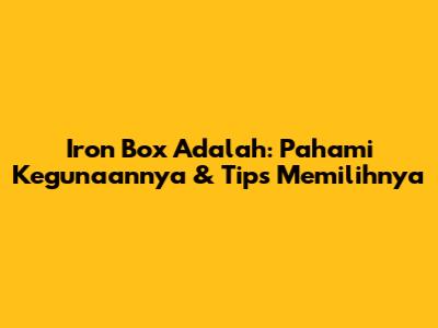 Iron Box Adalah: Pahami Kegunaannya & Tips Memilihnya