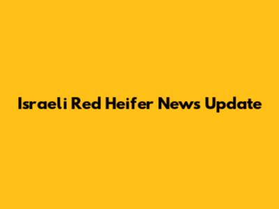 Israeli Red Heifer News Update