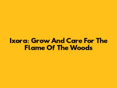 Ixora: Grow And Care For The Flame Of The Woods