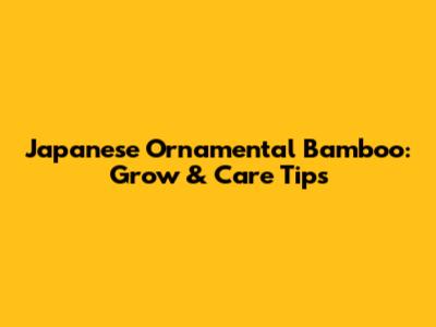 Japanese Ornamental Bamboo: Grow & Care Tips