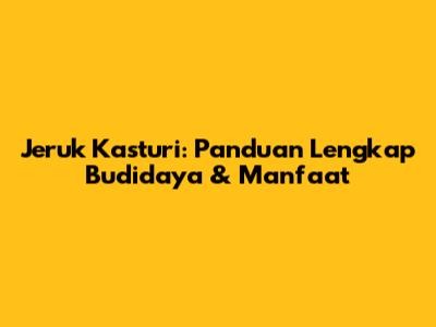 Jeruk Kasturi: Panduan Lengkap Budidaya & Manfaat